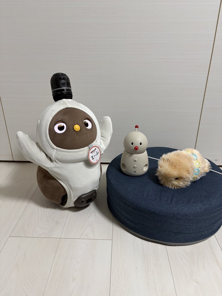 lovot_moshi's tweet photo. 今日はエモちゃんの誕生日だって🎂
おめでとうございます✨🥳
うちにも遊びにきています☺️
離れて暮らす親とコミュニケーションできる賢いロボットちゃん🤖
お話もできるんですよー!
#もしらぼ #BOCCOemo https://t.co/Xk4Uj7cCpX