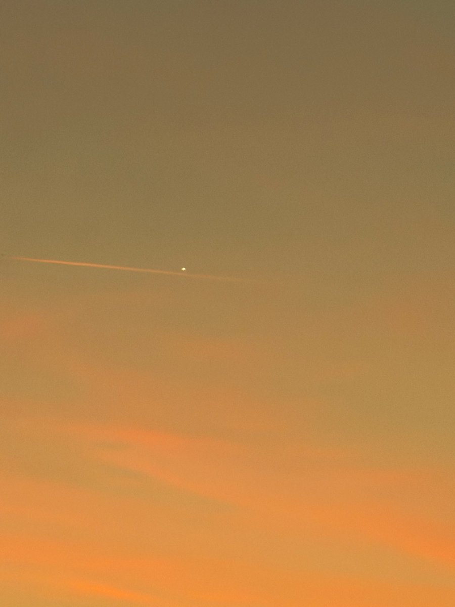 🦋🏈🏀🎾🏐🏌️‍♀️🏇🏾🤸🏼‍♂️🦋whatsnext 🦋#SicEm tweet media