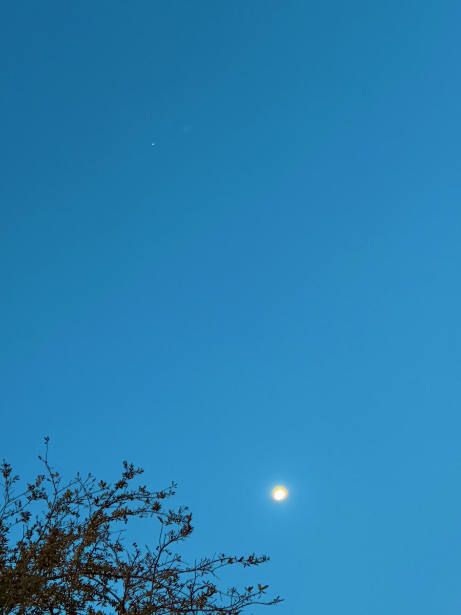 🦋🏈🏀🎾🏐🏌️‍♀️🏇🏾🤸🏼‍♂️🦋whatsnext 🦋#SicEm tweet media