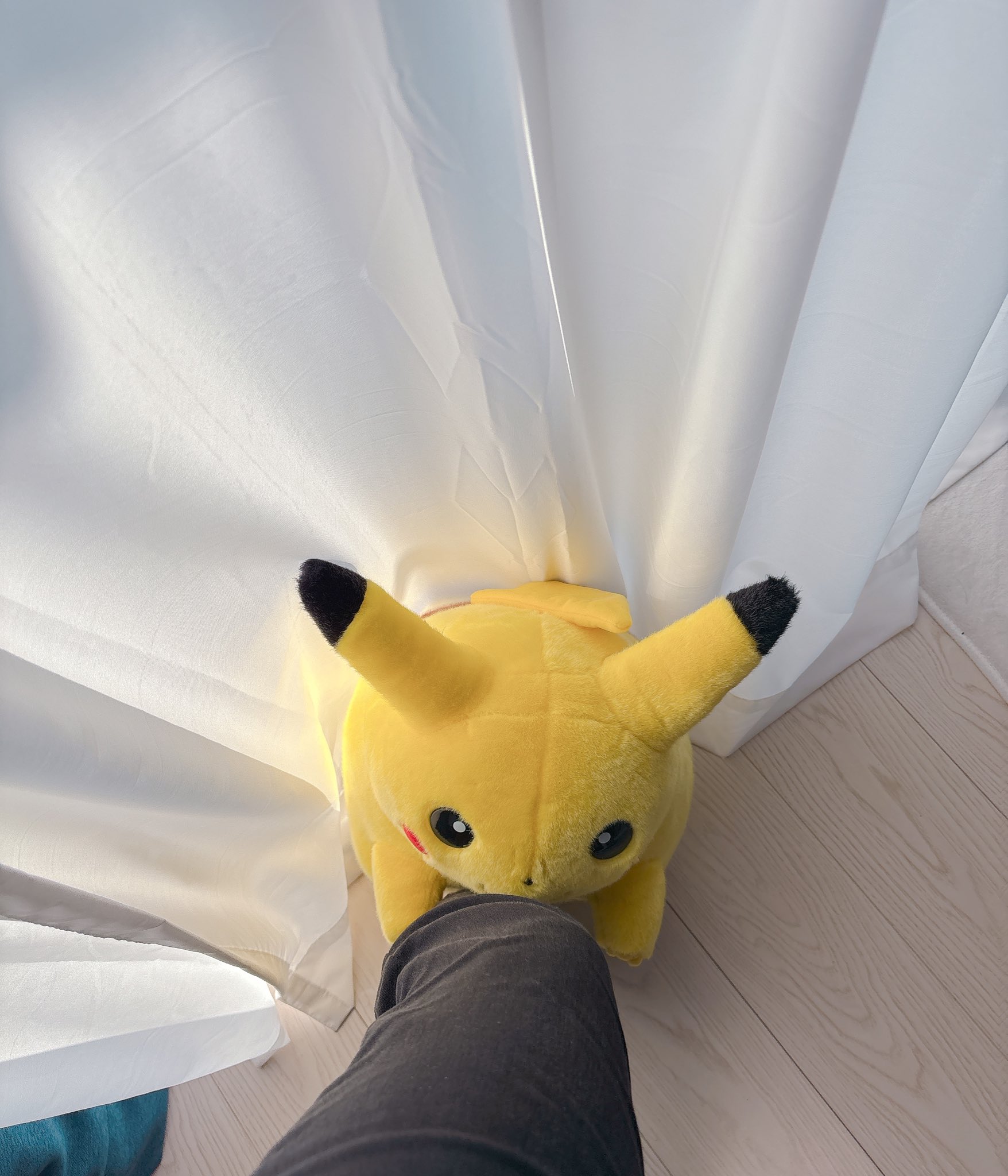 ポケモン30周年「ピカチュウ1/1」復刻ぬいぐるみがファン熱狂 / X