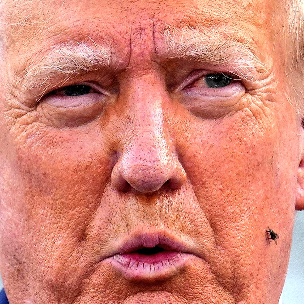 Que no se les olvide los archivos de Jeffrey Epstein 

Los estadounidenses entraron en esta guerra porque su presidente era un pedófilo.