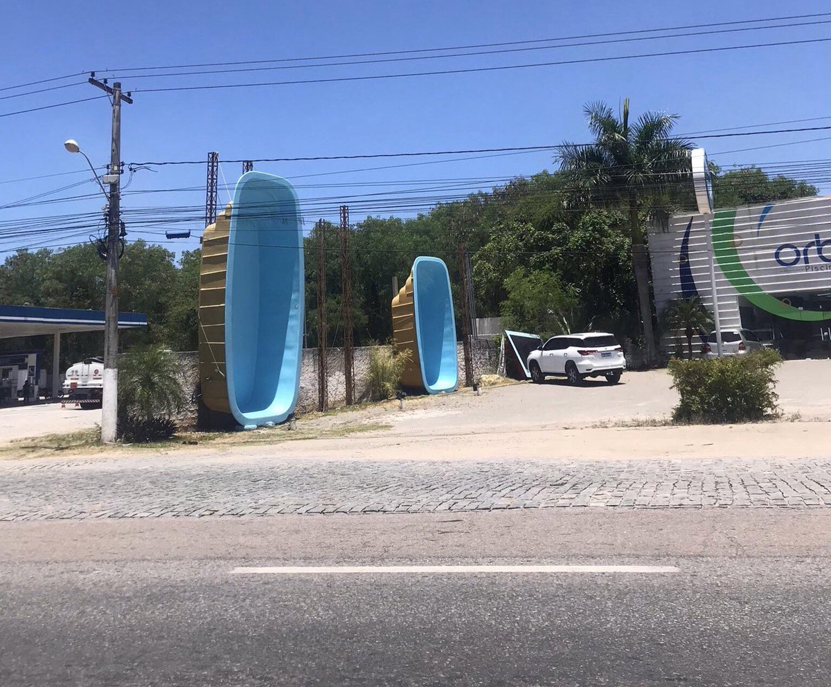 Greengo Dictionary 🦜 tweet media