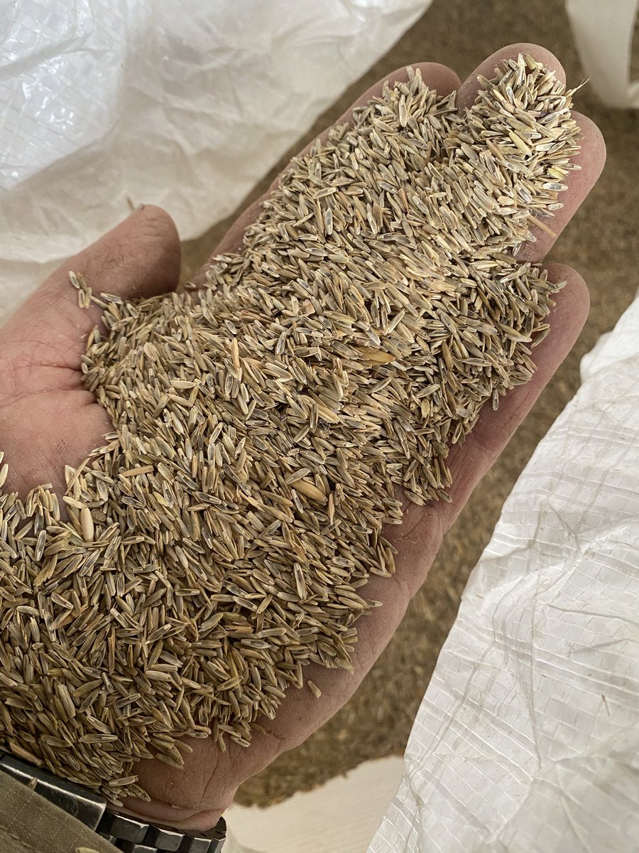 Jamie Nicolaou tweet media