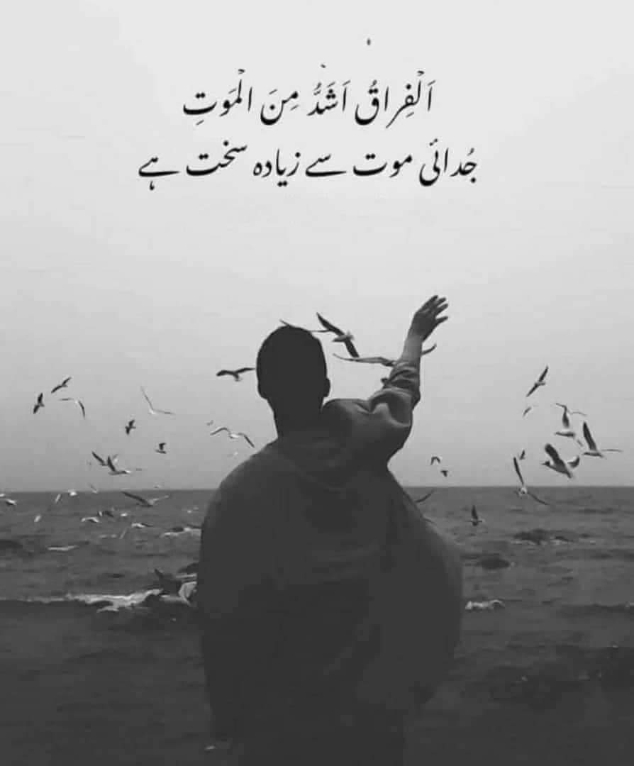 Firdous Ali (@hajifirdousali) on Twitter photo 