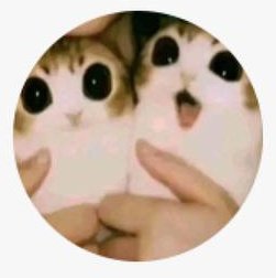 kit⁷🌟💗 tweet media