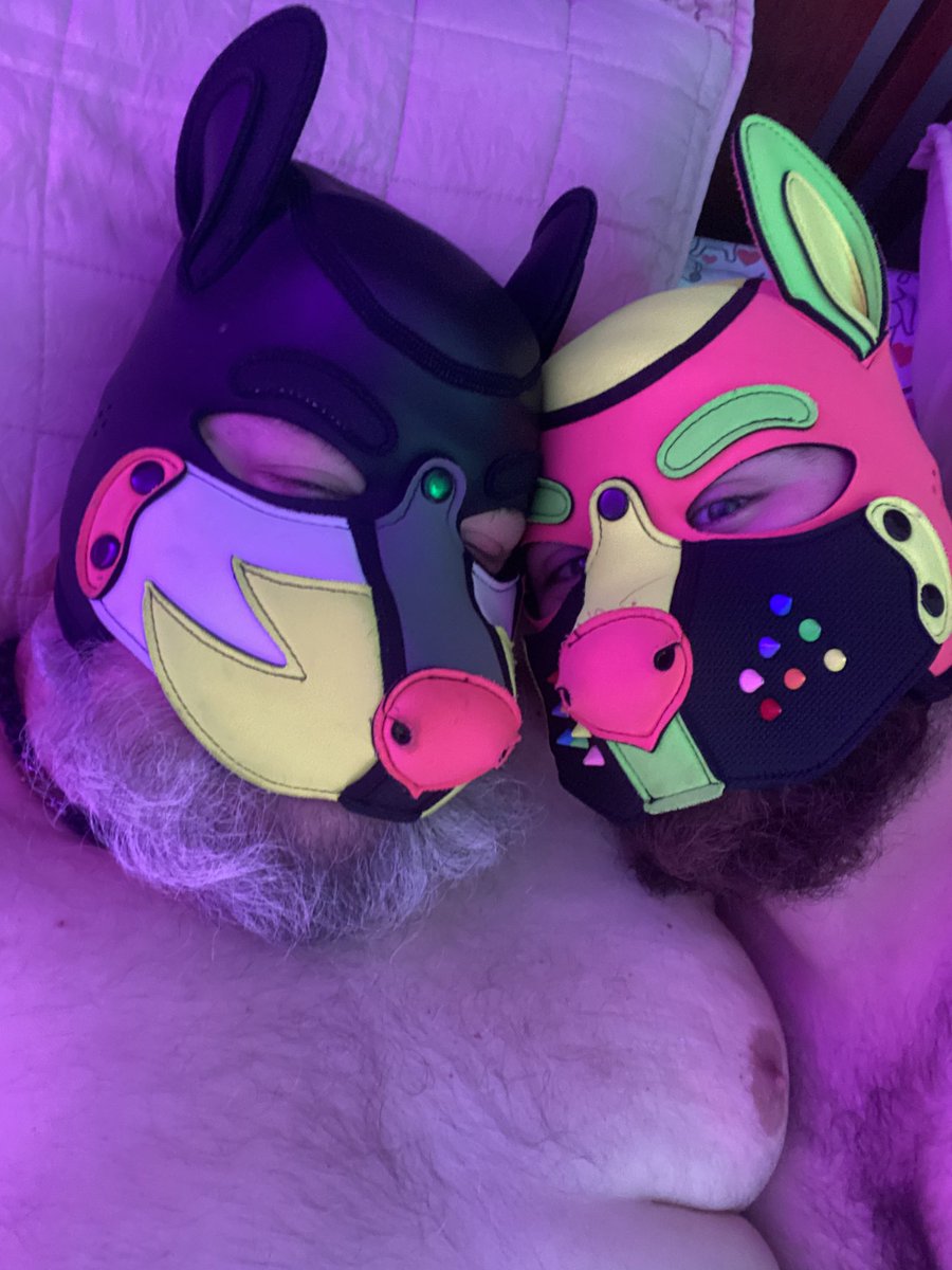 Pup_Cupcake tweet media