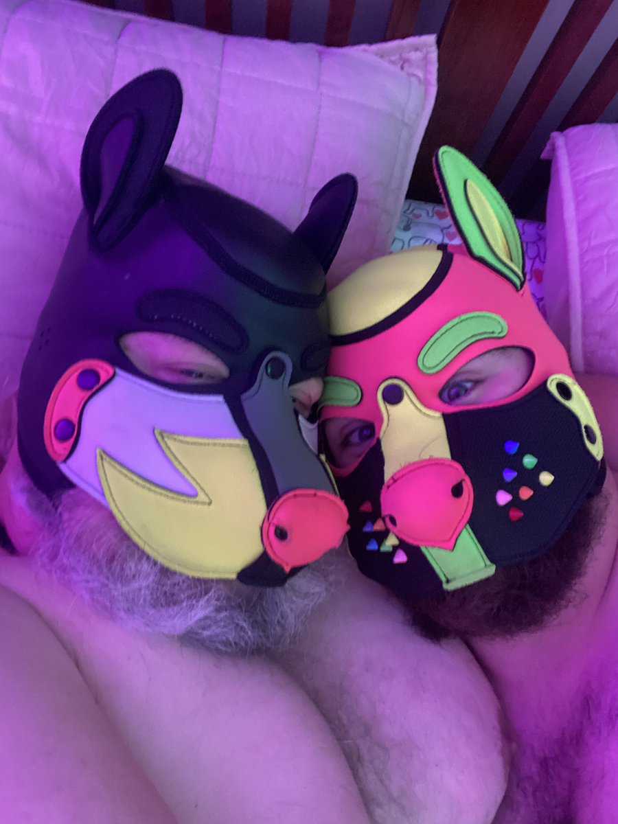 Pup_Cupcake tweet media