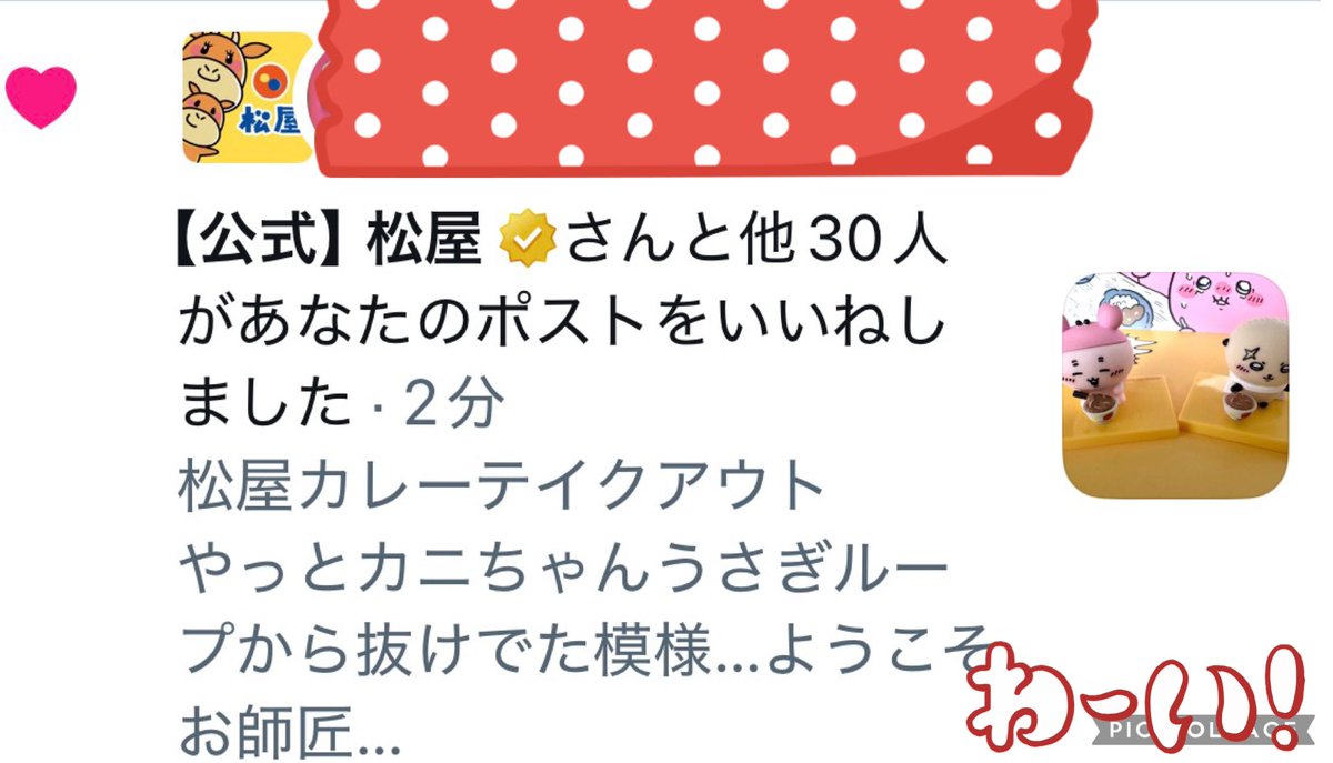 まろん犬 tweet media