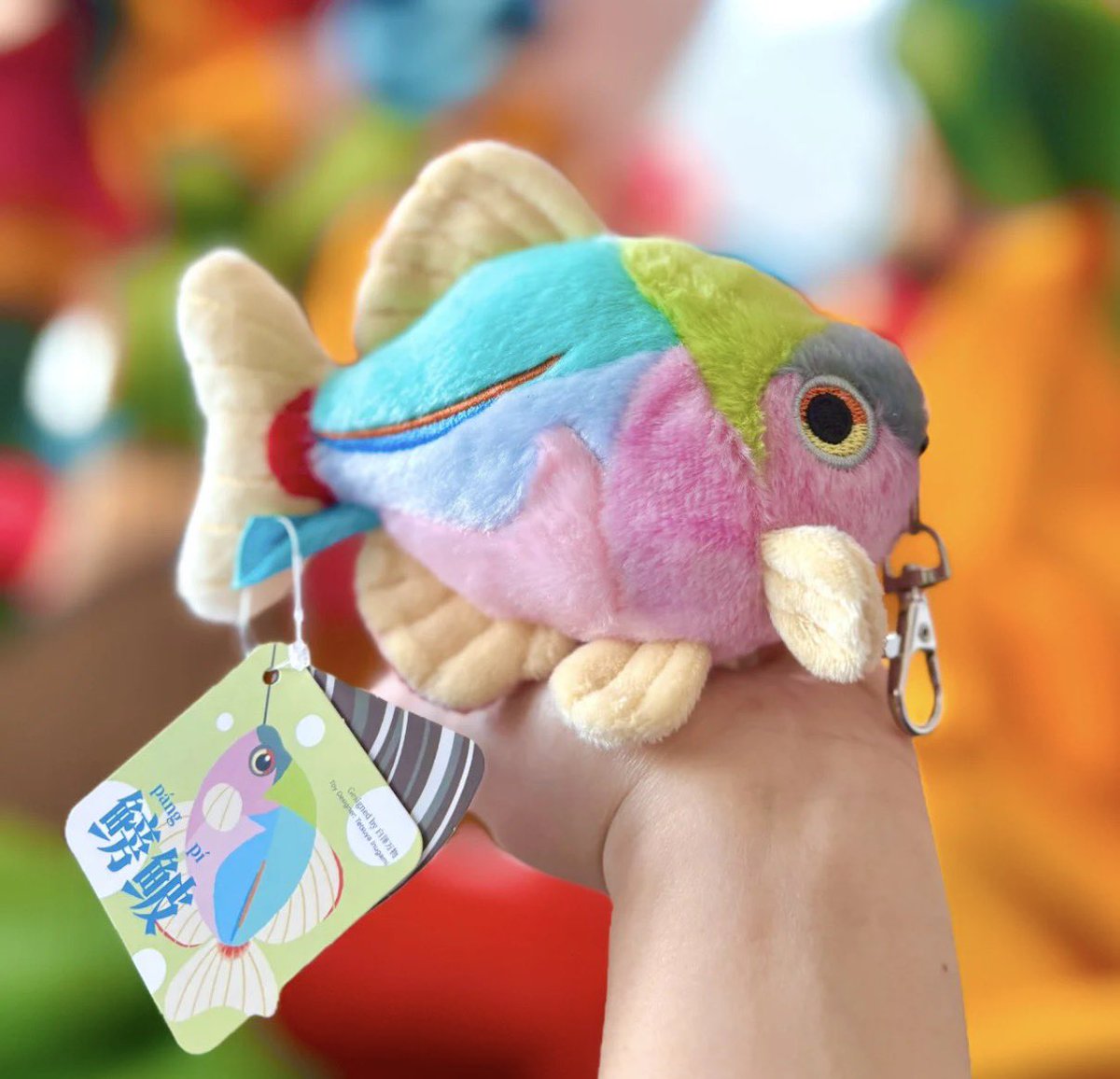 秋山雲【wf2026s】 tweet media