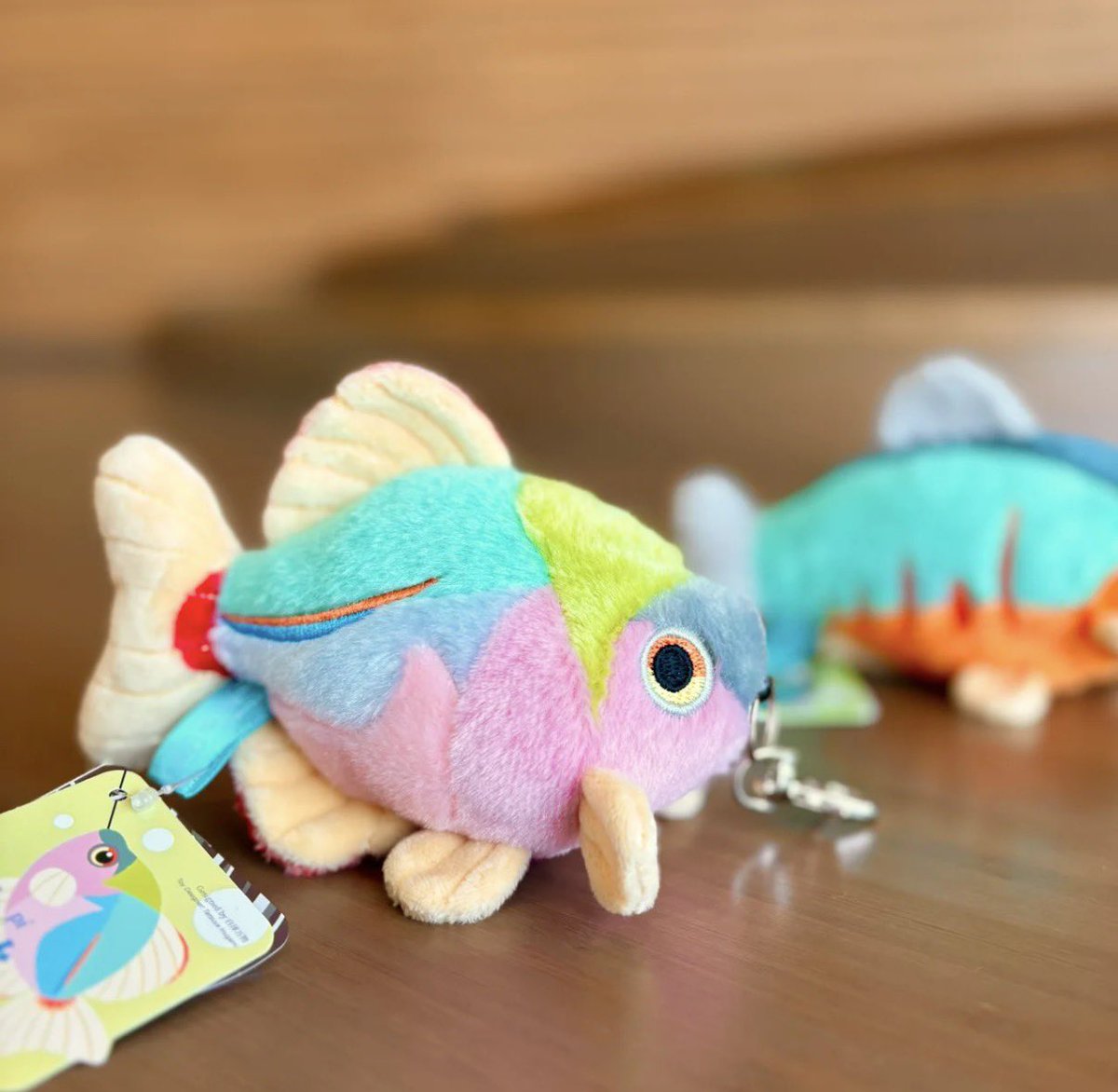 秋山雲【wf2026s】 tweet media