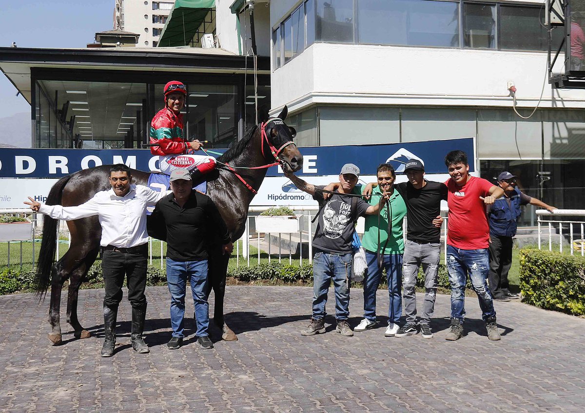 HarasSumaya's tweet photo. ¡Gran debut de Ready To Go! 🚀 El hijo de #IndianTrail y First To Go mostró velocidad para imponerse por 6¼ cuerpos a Montenegro en condicional de 1.200 metros corrida esta tarde en @hipodromo_chile. Rafael Cisternas montó al pupilo de Marco Pavez. ¡Felicitaciones al #TeamSumaya! https://t.co/GGKSwD7TkB