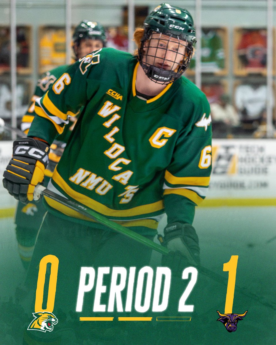 Northern Michigan Hockey tweet media