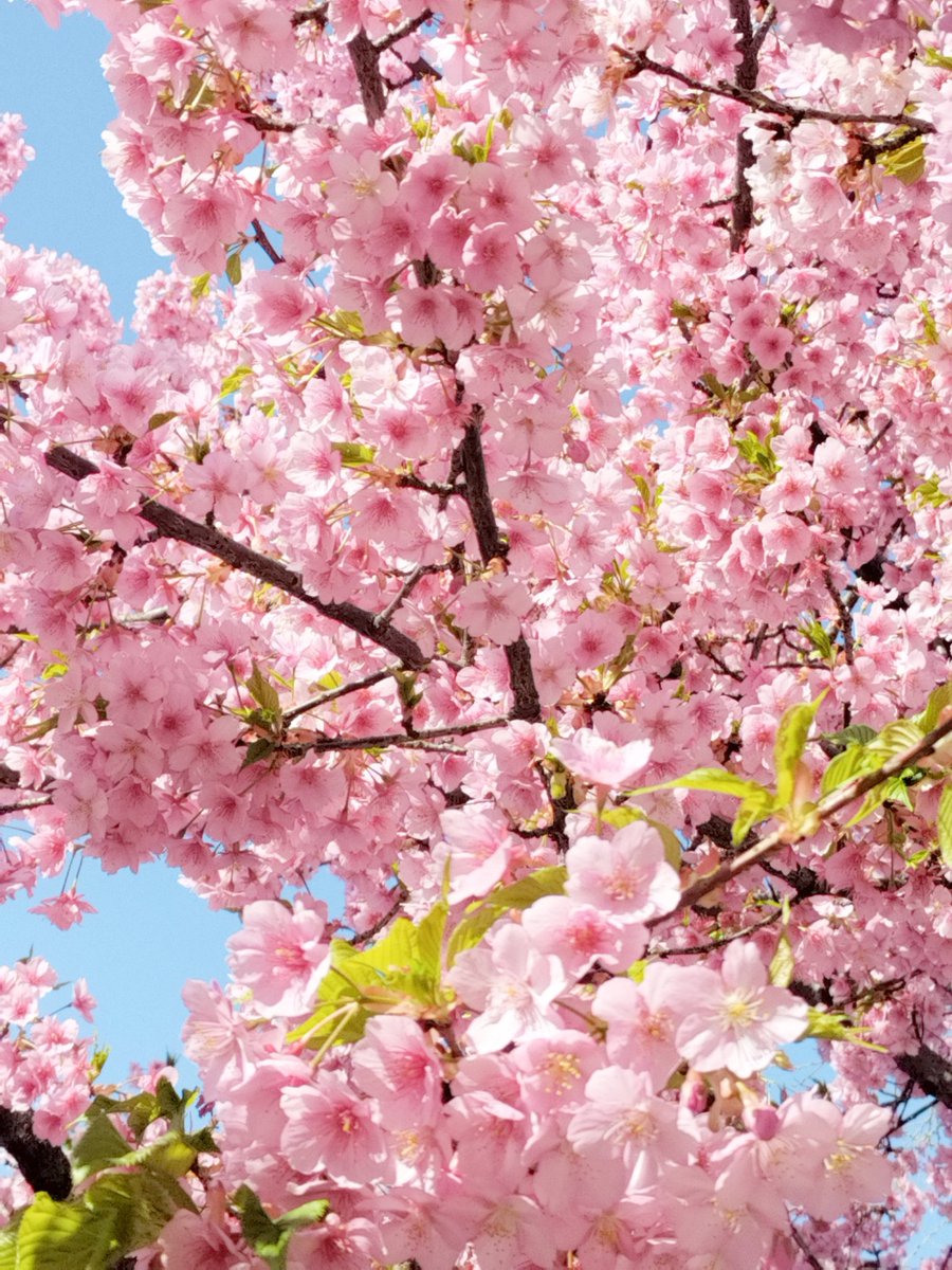 鈴木です。 tweet media