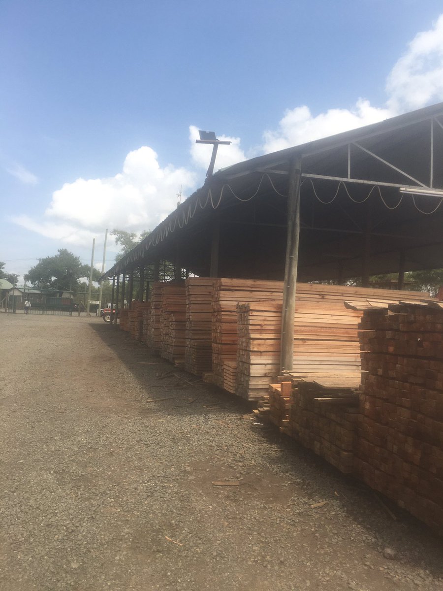 KikaoSteel's tweet photo. Sourcing for treated posts and timber at Boran Barn by Kakuzi for fencing of our client’s property.
Tunazingatia Quality and Standards kwa Ubora wetu huku KIKAO STEEL AND CEMENT!
#kakuzi #constructionmaterials #DurableFencing #kenyansinaustralia🇰🇪🇦🇺 #kenyansinusa🇺🇸 https://t.co/sOxAOJmwqC