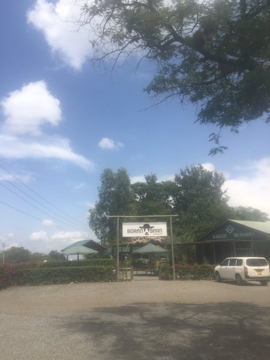 KikaoSteel's tweet photo. Sourcing for treated posts and timber at Boran Barn by Kakuzi for fencing of our client’s property.
Tunazingatia Quality and Standards kwa Ubora wetu huku KIKAO STEEL AND CEMENT!
#kakuzi #constructionmaterials #DurableFencing #kenyansinaustralia🇰🇪🇦🇺 #kenyansinusa🇺🇸 https://t.co/sOxAOJmwqC