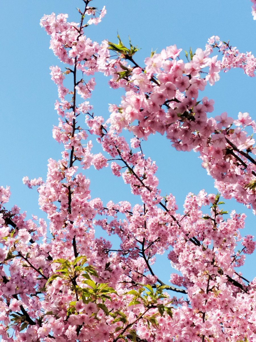 鈴木です。 tweet media