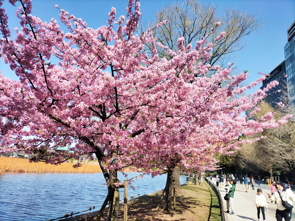 鈴木です。 tweet media