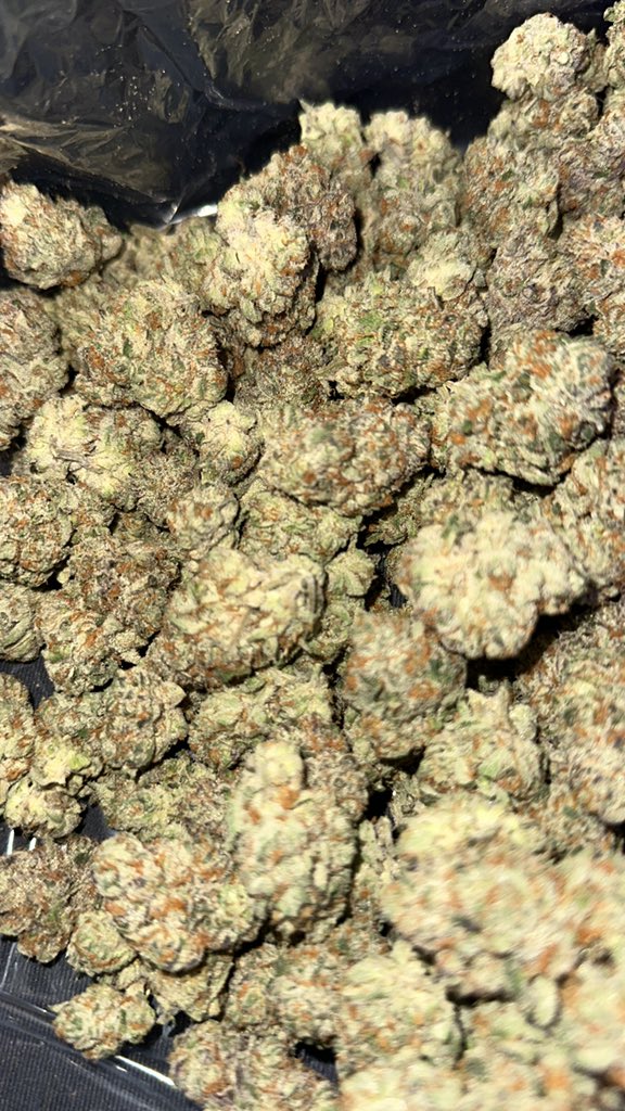 Adam ill tweet media