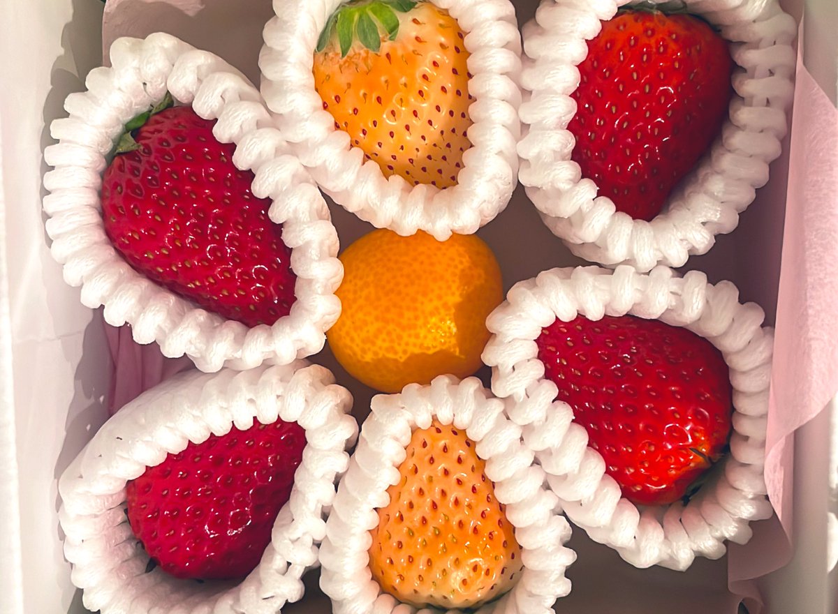 ゆんみー/yunmich🐬︎︎︎︎︎🌧️推しカラーは水色になりました