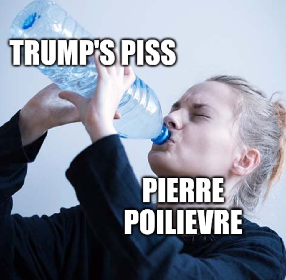 The Serfs (youtube.com/theserftimes) (@theserfstv) on Twitter photo 