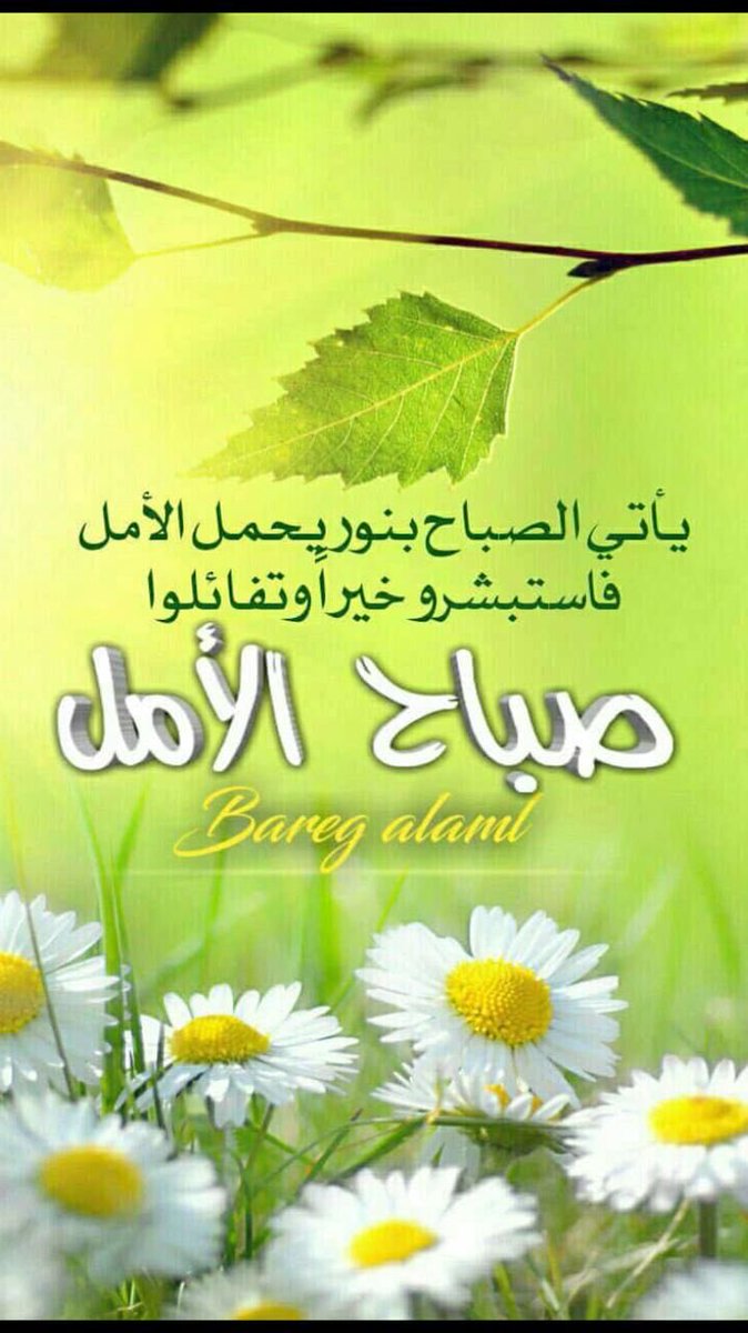 Ali..Alyami tweet media