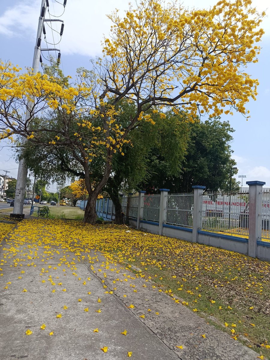 ✏just. draw tweet media