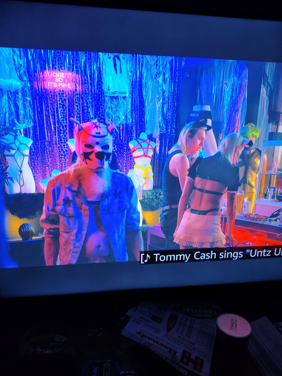 Pup Banditt Goodboy tweet media