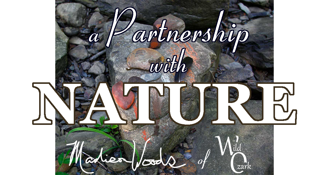 ๐๐๐๐๐ค๐ ๐ ๐๐ ๐ ๐๐ค tweet media