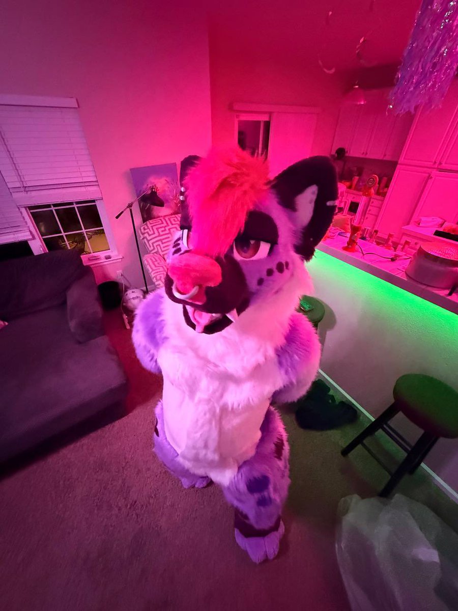 BraeBrae💜🔜 LVFC tweet media