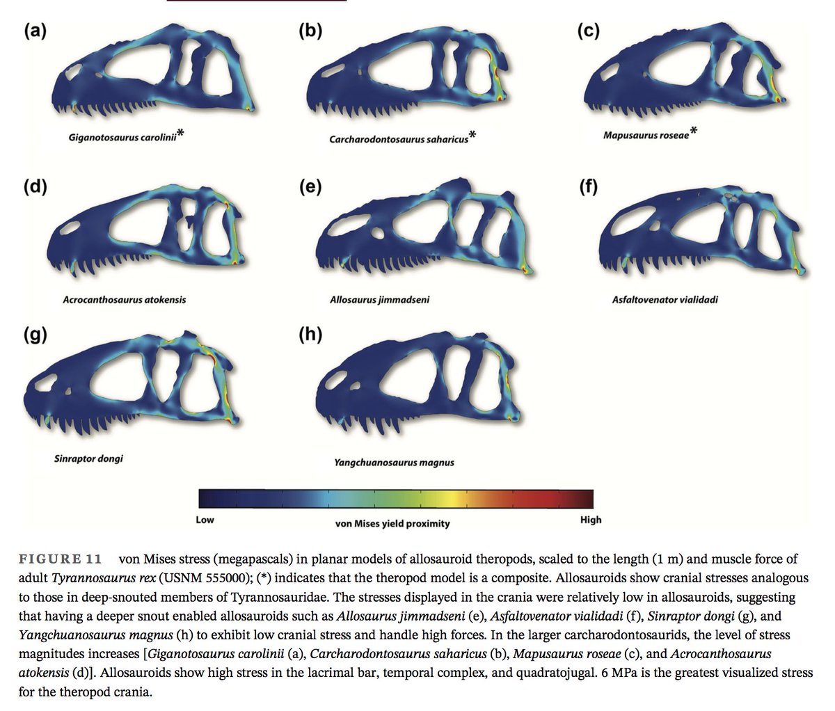 theropod tweet media