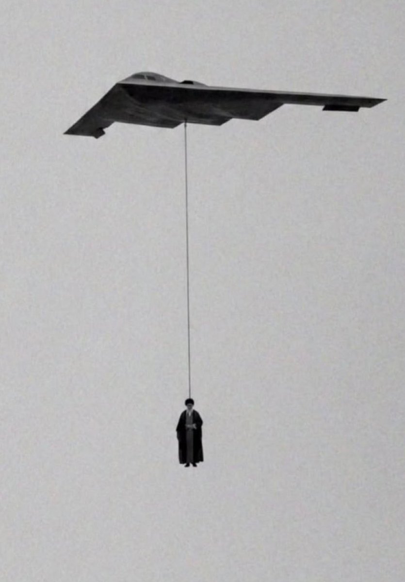 Mitchell Steadman tweet media