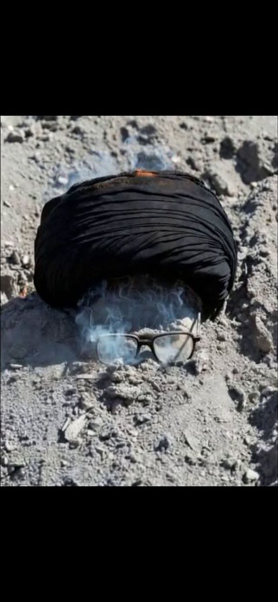 Signal Not Noise tweet media