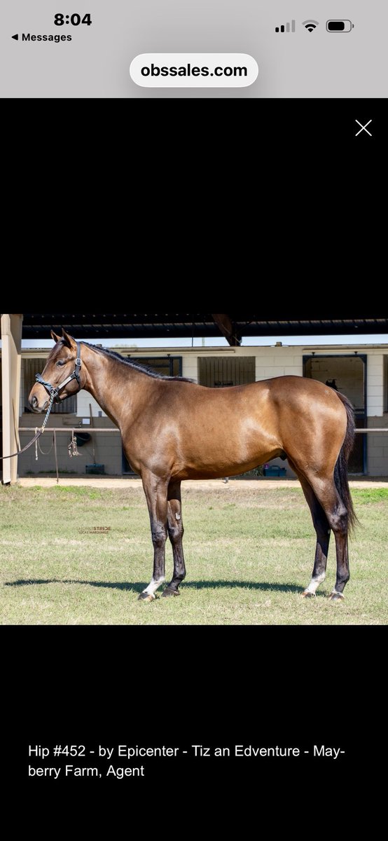 summer mayberry tweet media