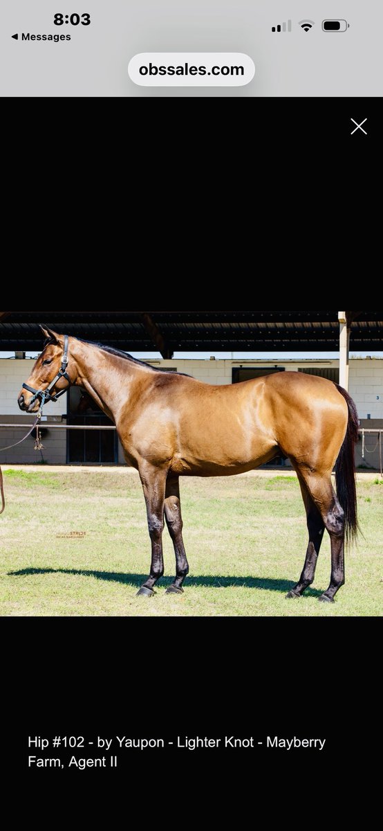 summer mayberry tweet media