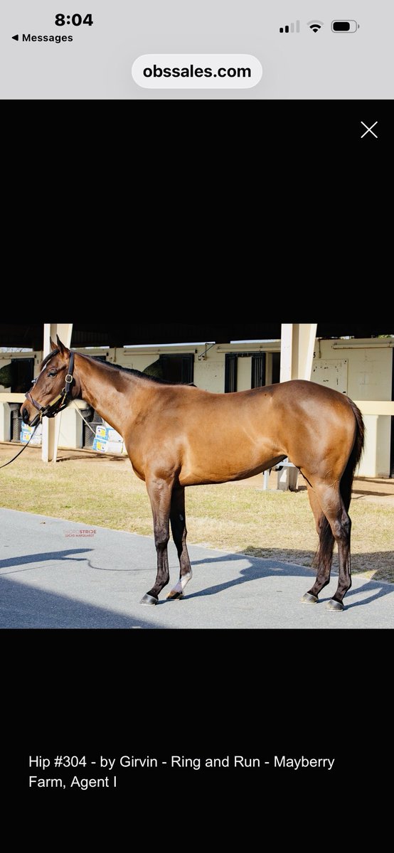 summer mayberry tweet media