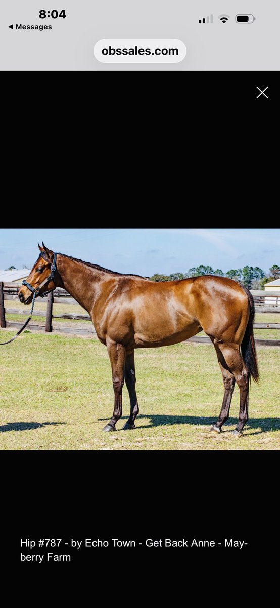 summer mayberry tweet media