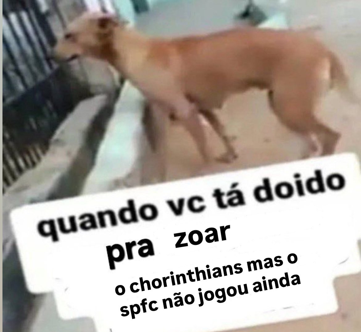 segurando comentários mais radicais para preservar minha imagem