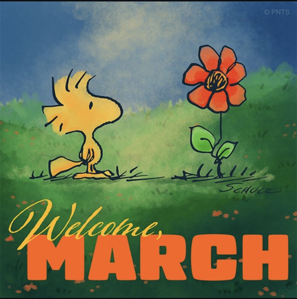 Welcome 
MARCH
