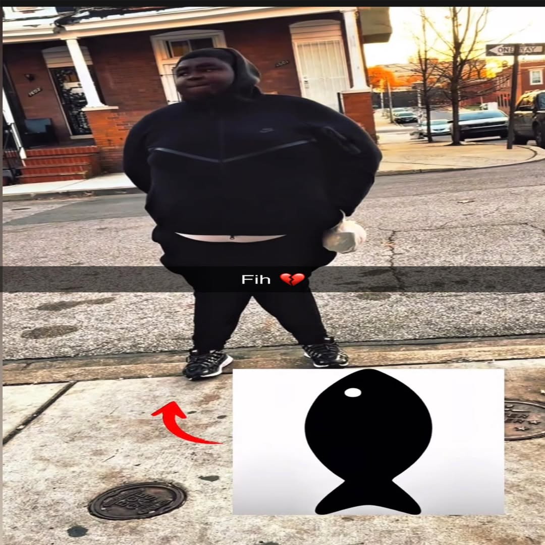 0723Shark 🦈 tweet media