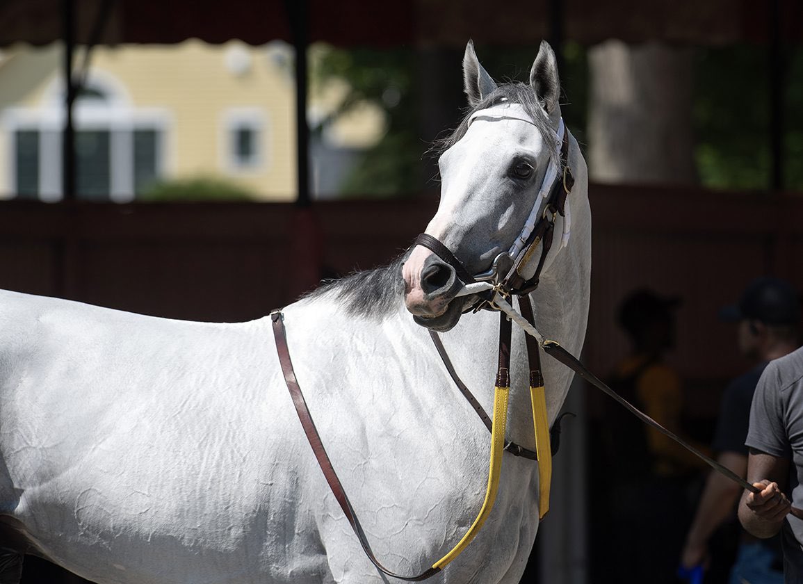 C2 Racing Stable tweet media