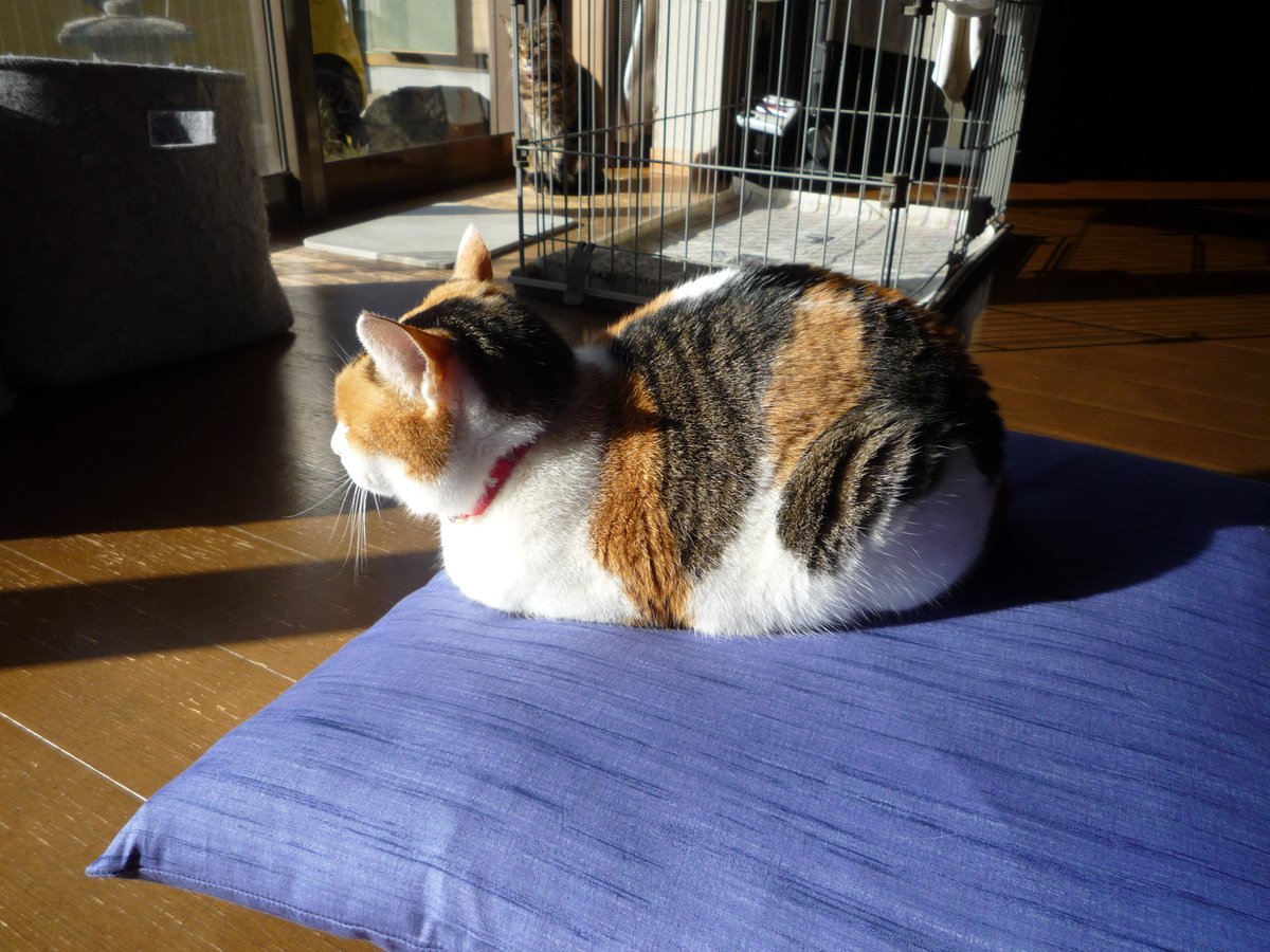 パリピア😻✨ (@NW6hX5NzGOqMVAw) / Posts / X