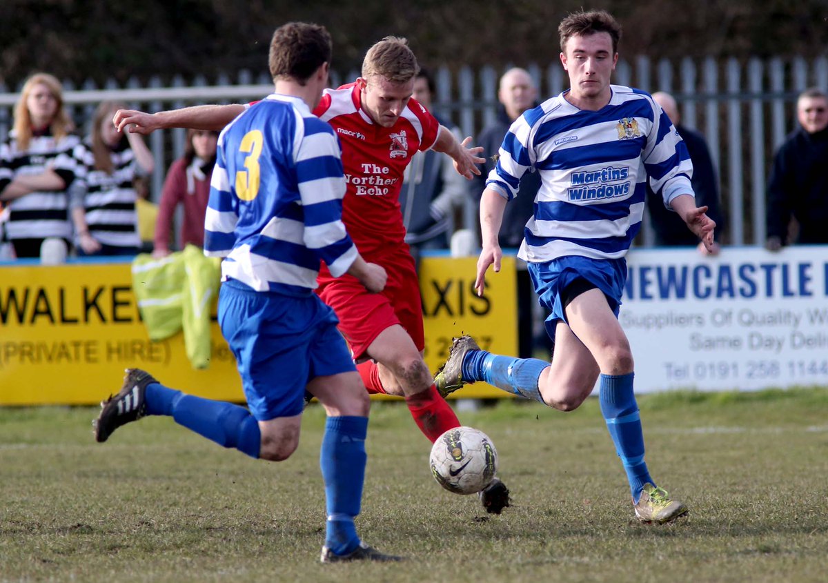 Darlo Retro 📸 tweet media