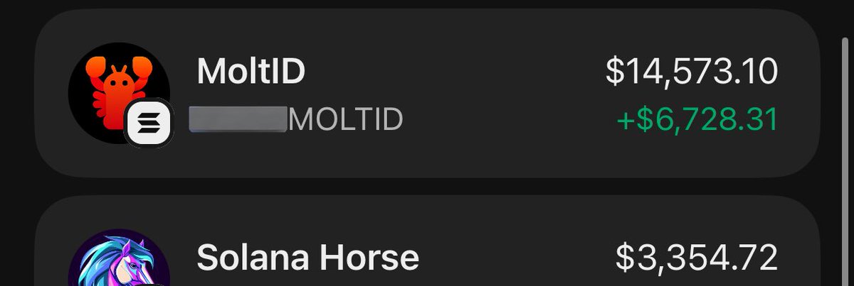 EchoWhale tweet media