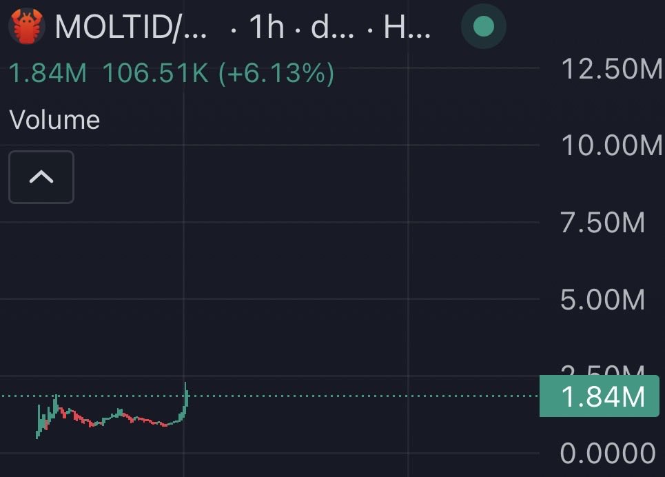 EchoWhale tweet media