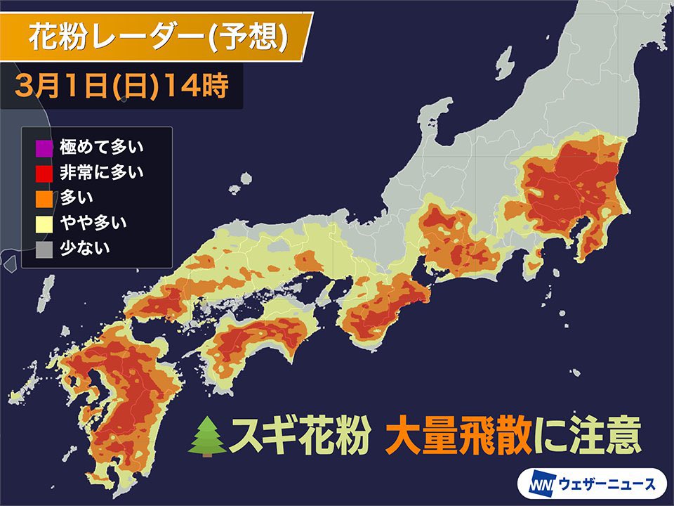 オチョメ tweet media