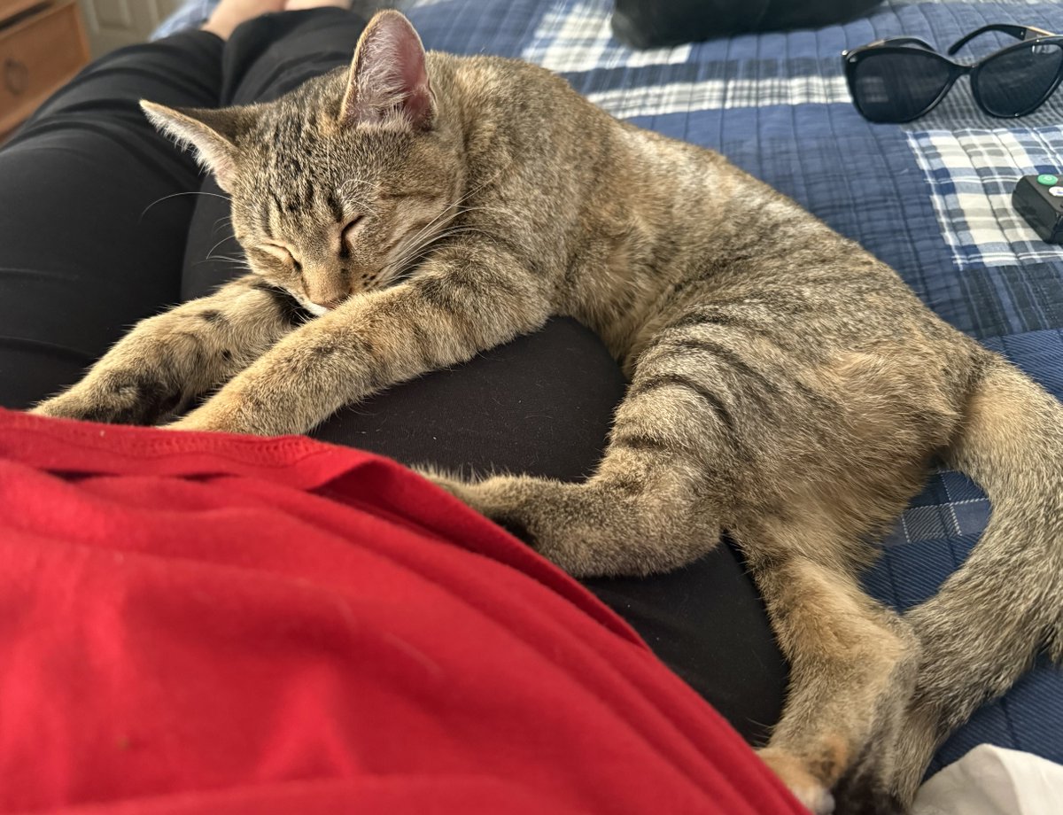 Paola Boivin tweet media