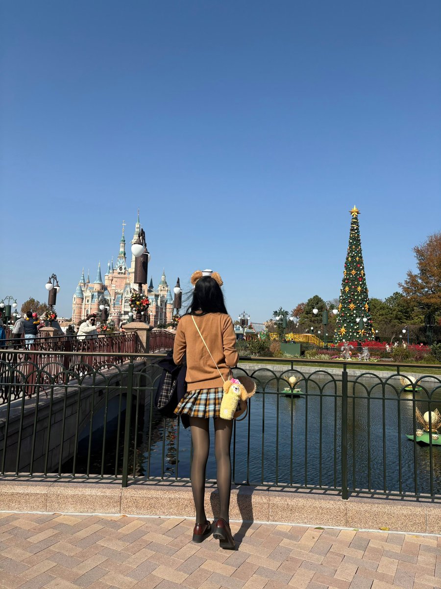 橘橘大橘猫 tweet media