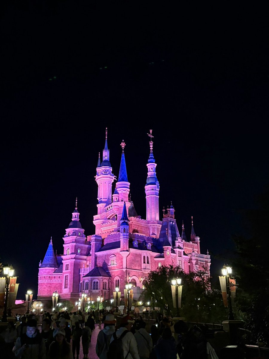 橘橘大橘猫 tweet media