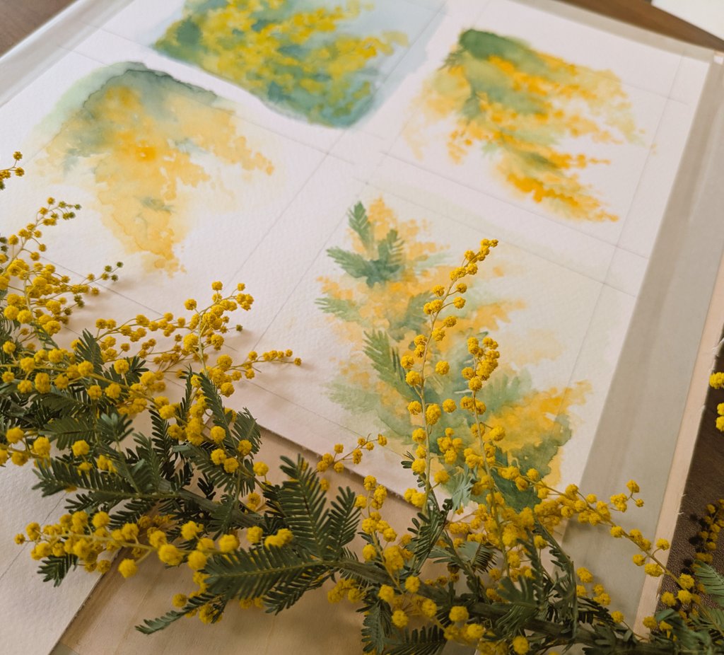 ミモザの習作。自由に色をのせるのって楽しいですね〜