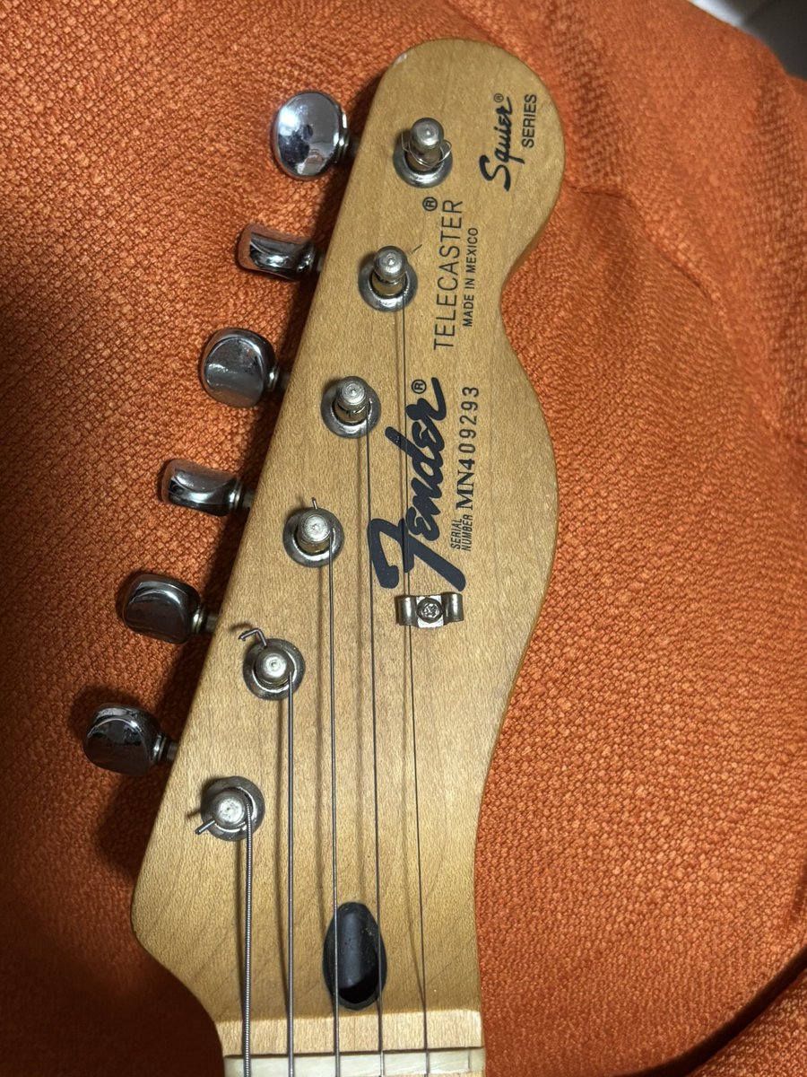 これはもう完全に治ったと言っても過言ではない🤩 茨城県某所の